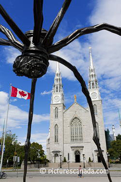 ottawa-0061